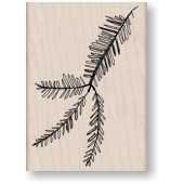 Fir branch<br/>K 5866