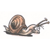 Escargot à droite - D-5510