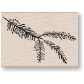 Branche de sapin<br/>K 5866